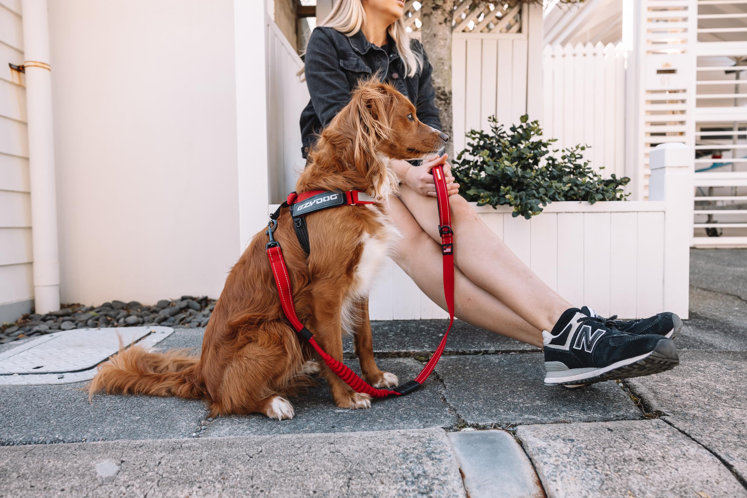 EZYDOG エクスプレスハーネス XL グリーンカモフラージュ Amazon | [イージードッグ] 正規代理店品］ エクスプレスハーネス XL